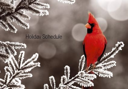 Cardinal on frosty branch w text inset