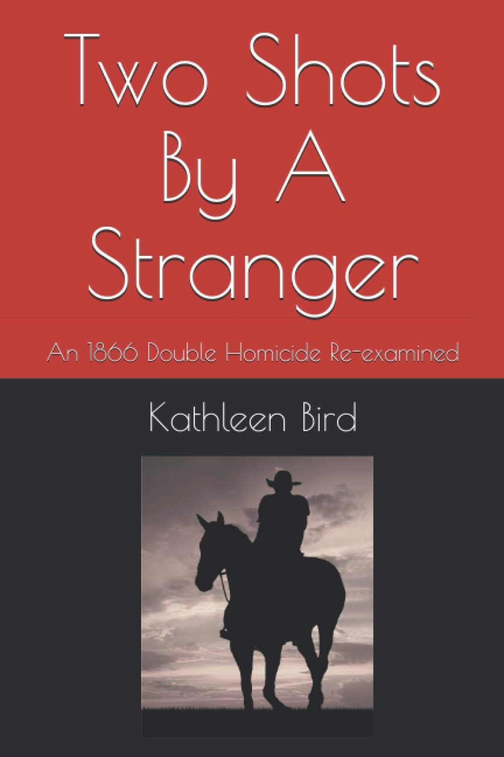 Two Shots By A Stranger book cover